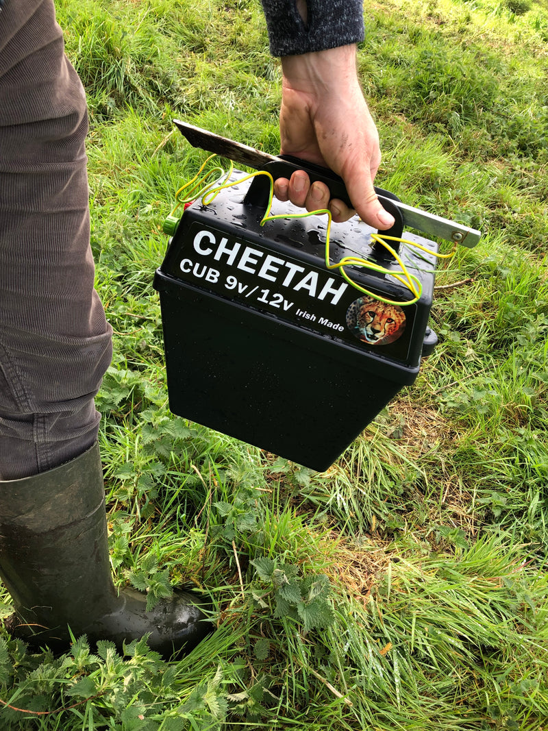 Cheetah Cub | 0.9 Miles